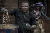 Showing the corn grains in a market in Benin. Poster och Canvastavla