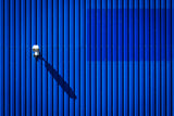 blueinblue Poster och Canvastavla