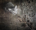 Somewhere out there Poster och Canvastavla