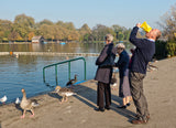 The duck feeders Poster och Canvastavla