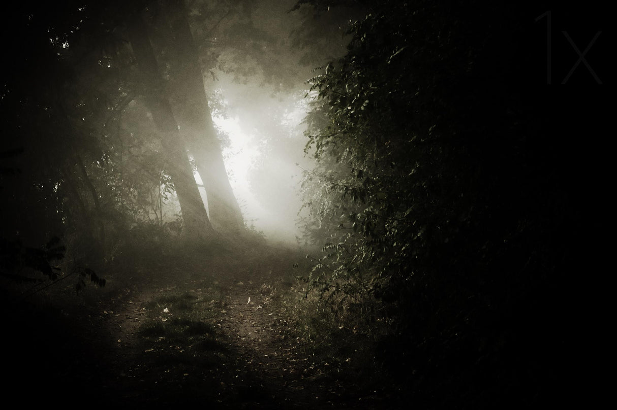 leaving the darkness Poster och Canvastavla