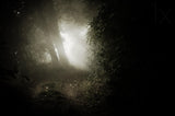 leaving the darkness Poster och Canvastavla