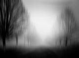 silence of lonelyness Poster och Canvastavla