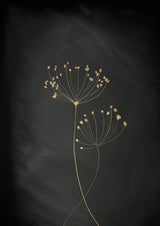Black Gold Botanical No 2 Poster och Canvastavla