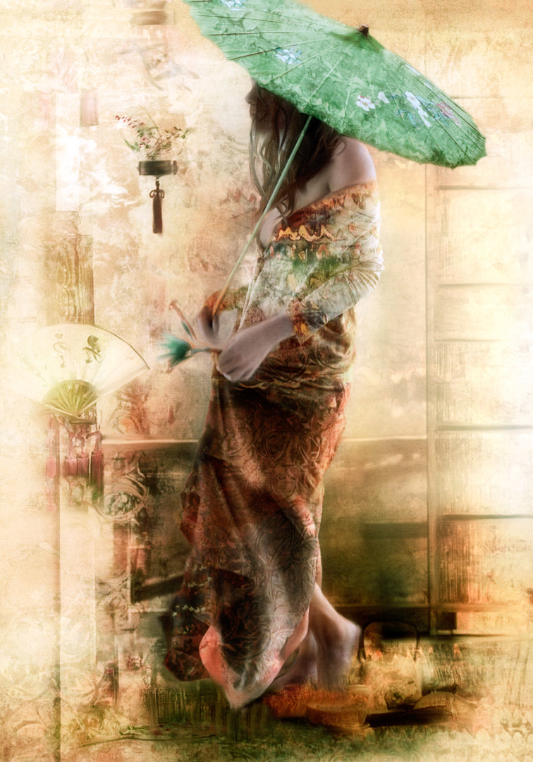 '...the lady with the umbrella...' Poster och Canvastavla