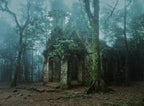 Forgotten place Poster och Canvastavla
