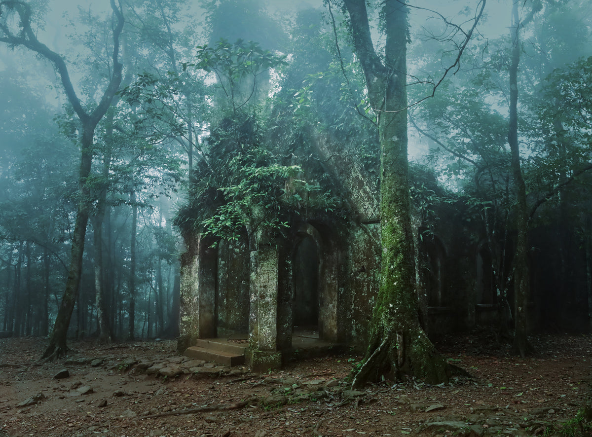 Forgotten place Poster och Canvastavla