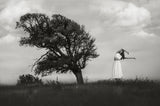 my arms broken branches, my soul a lonely tree Poster och Canvastavla