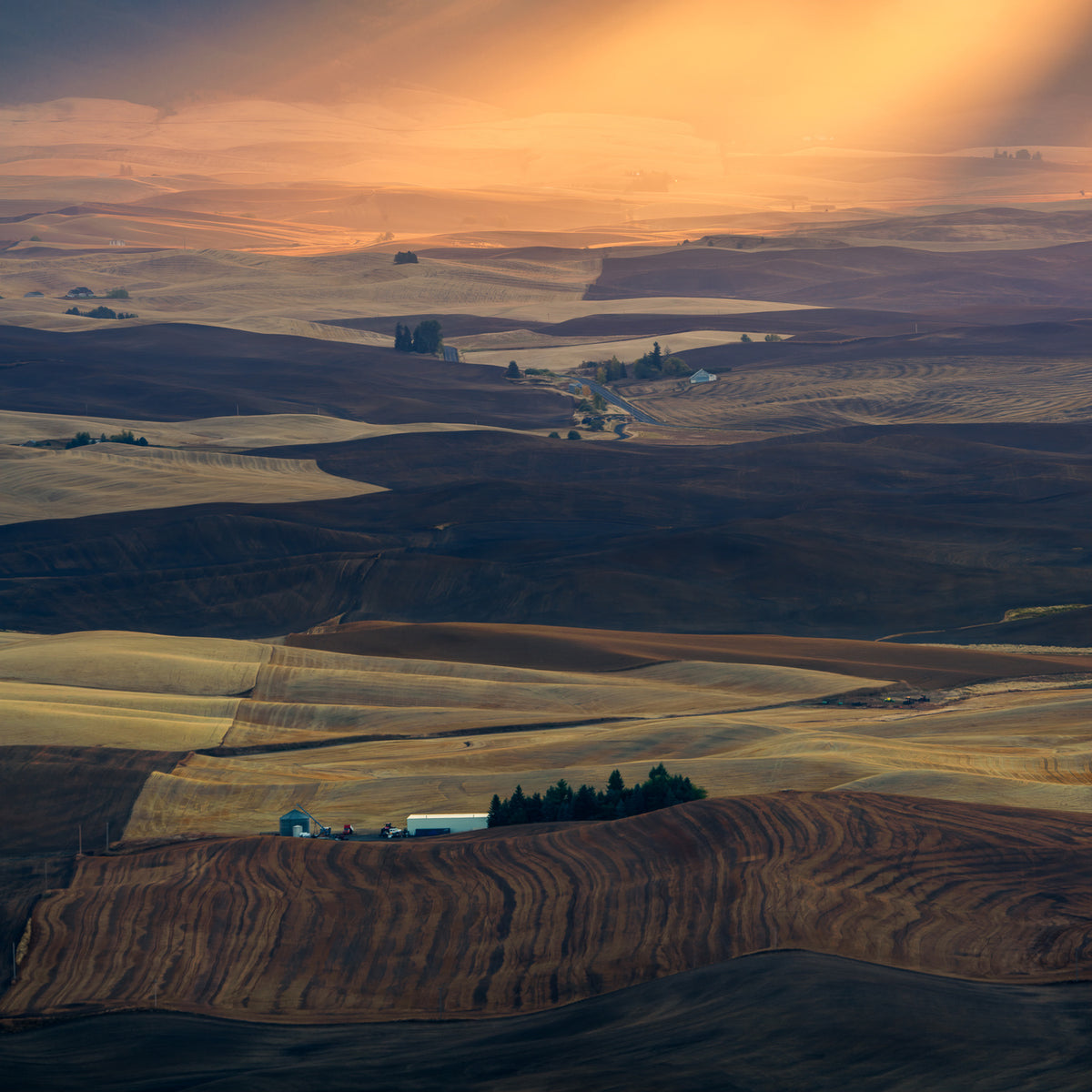 Palouse Impression Poster och Canvastavla