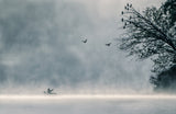 Misty lake Poster och Canvastavla