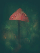 Once Upon A Time... Poster och Canvastavla