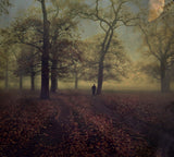 A Strange Day... Poster och Canvastavla