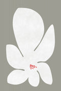 White Lily Flower Poster och Canvastavla