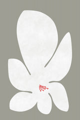 White Lily Flower Poster och Canvastavla