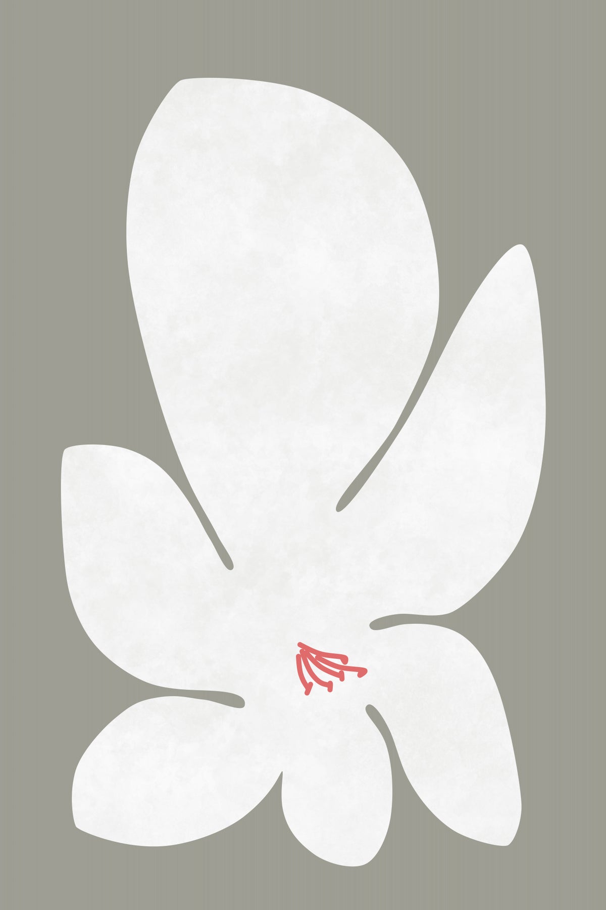 White Lily Flower Poster och Canvastavla