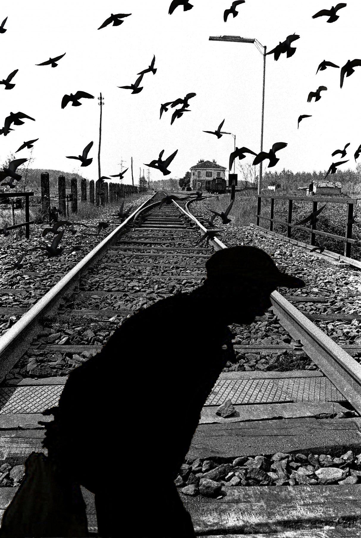 Tracks Poster och Canvastavla