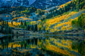 Autumn Color Poster och Canvastavla