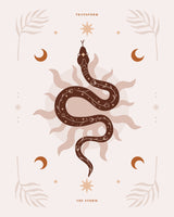 Snake Transform Poster och Canvastavla