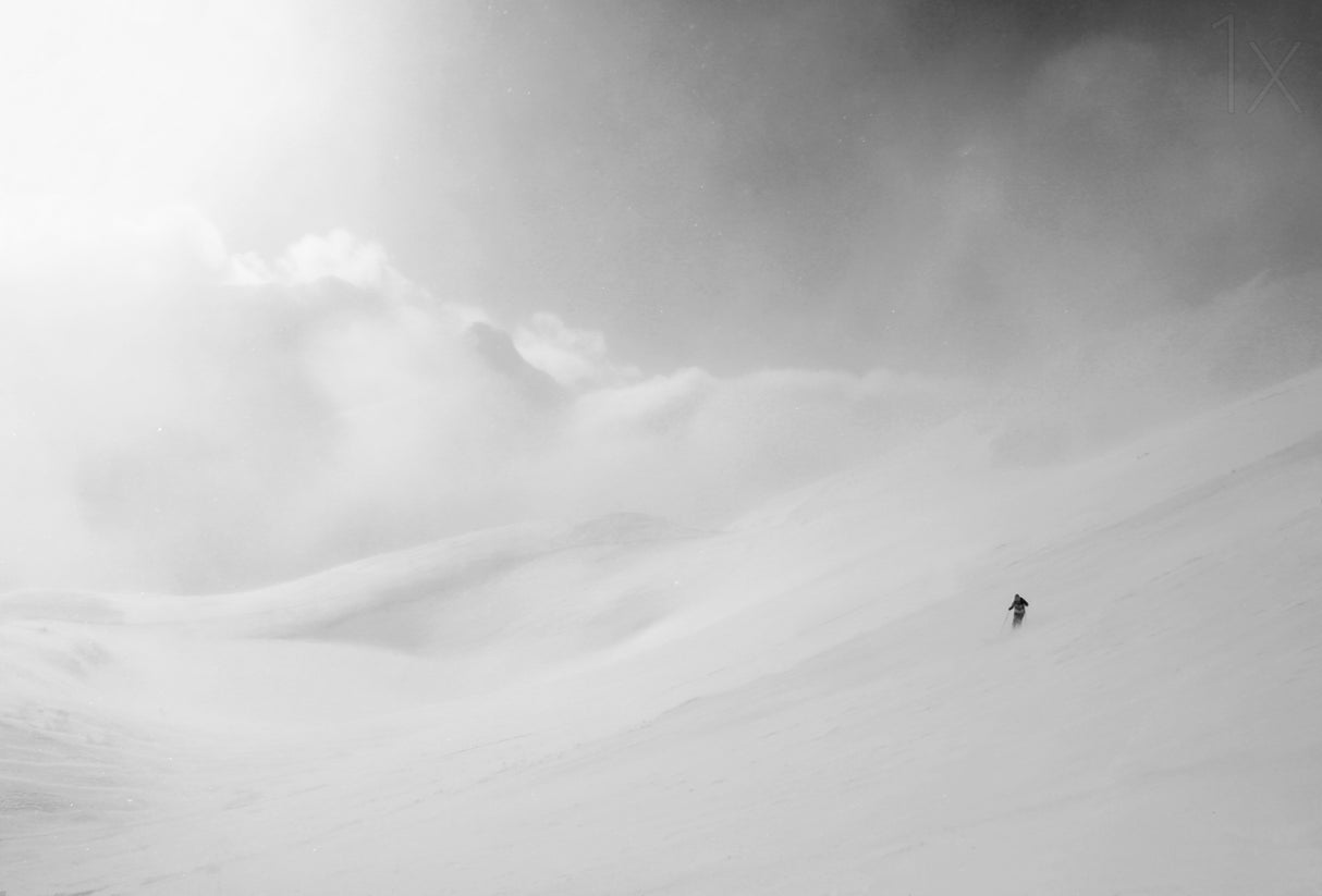 into the white darkness Poster och Canvastavla
