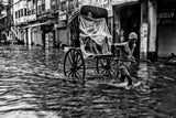 City Life in Rains Poster och Canvastavla