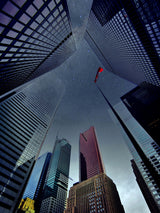 Reaching to the Sky Poster och Canvastavla