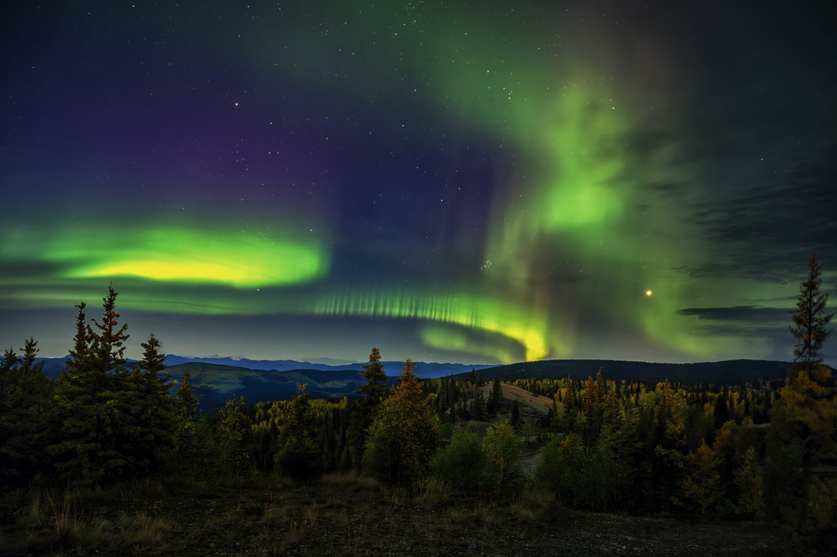 Northern Lights Poster och Canvastavla