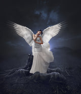 an angel Poster och Canvastavla
