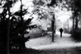autumn walk Poster och Canvastavla