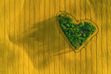 <3 Poster och Canvastavla