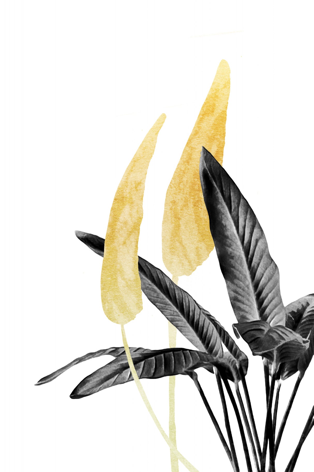 Bird of Paradise Plant Black, White and Gold 01 Poster och Canvastavla