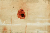 fragment Poster och Canvastavla