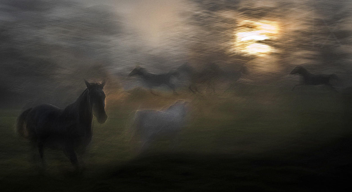 evening pastoral Poster och Canvastavla