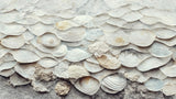 Sea Shells Detail No 7 Poster och Canvastavla
