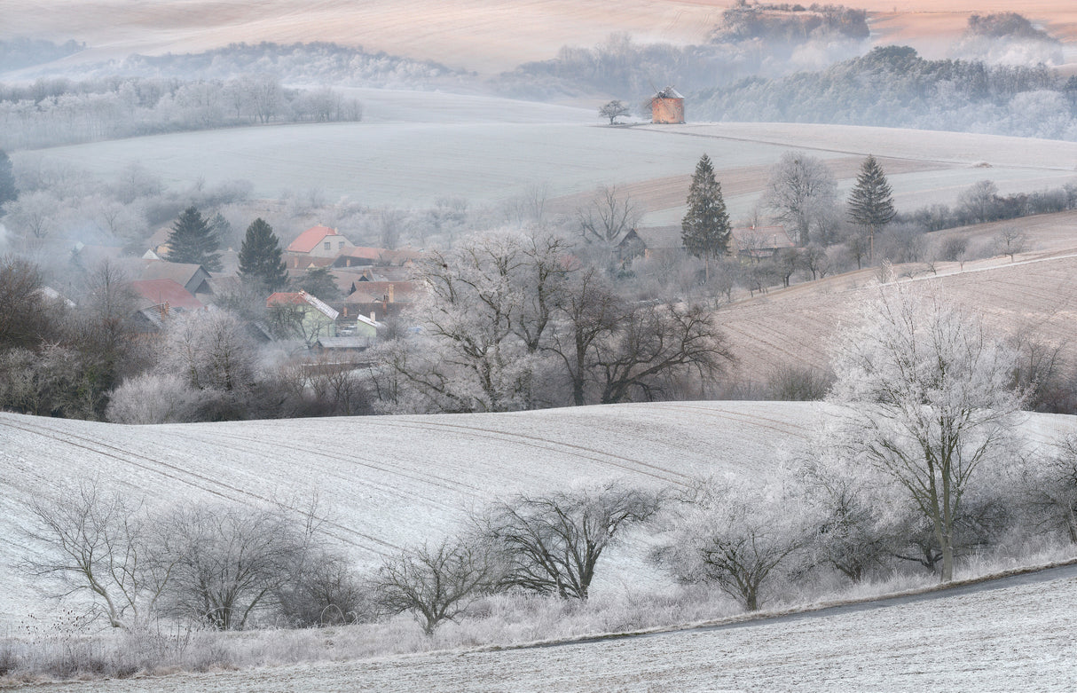 Winter Dream Poster och Canvastavla