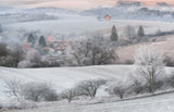 Winter Dream Poster och Canvastavla