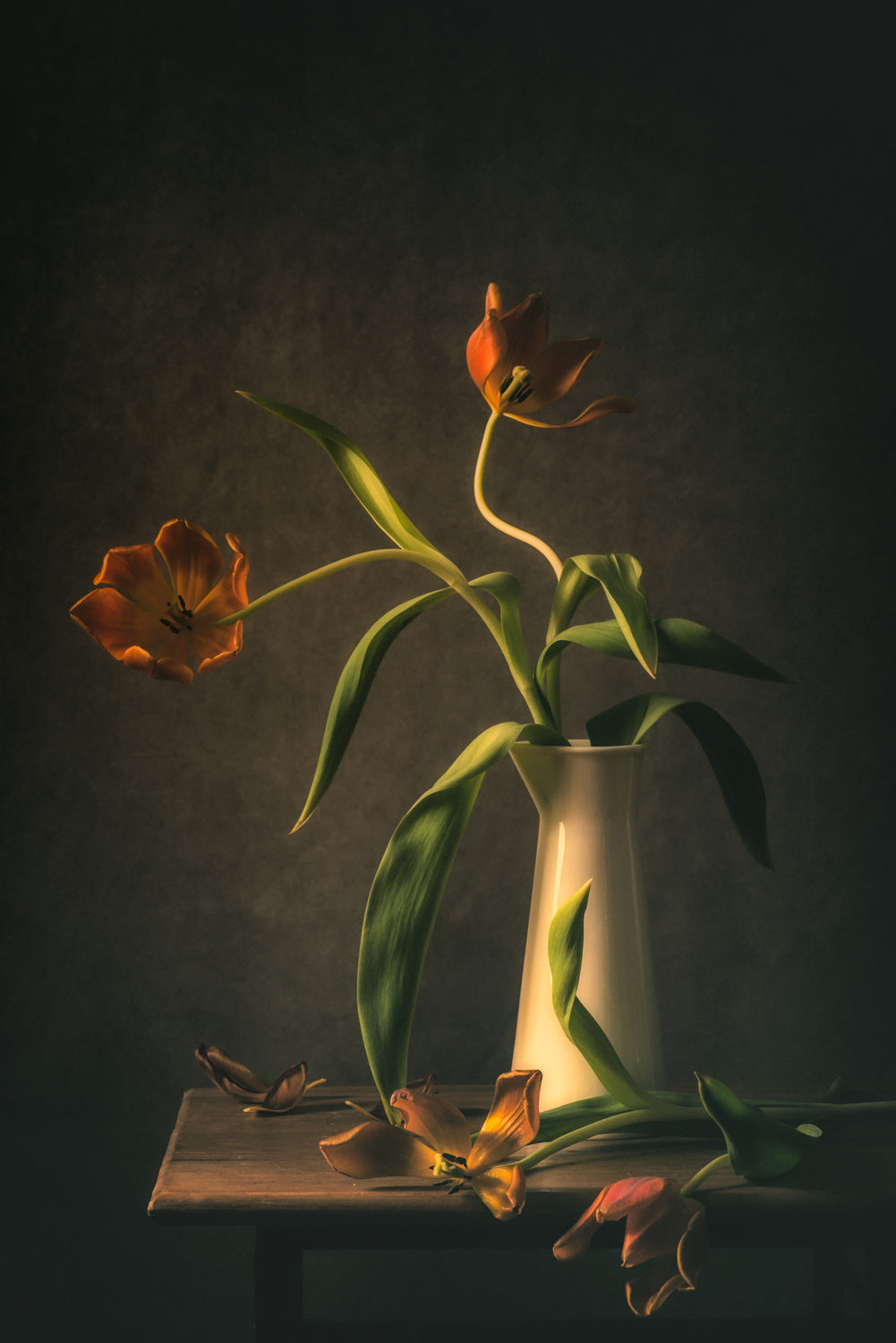Wilted Tulips Poster och Canvastavla