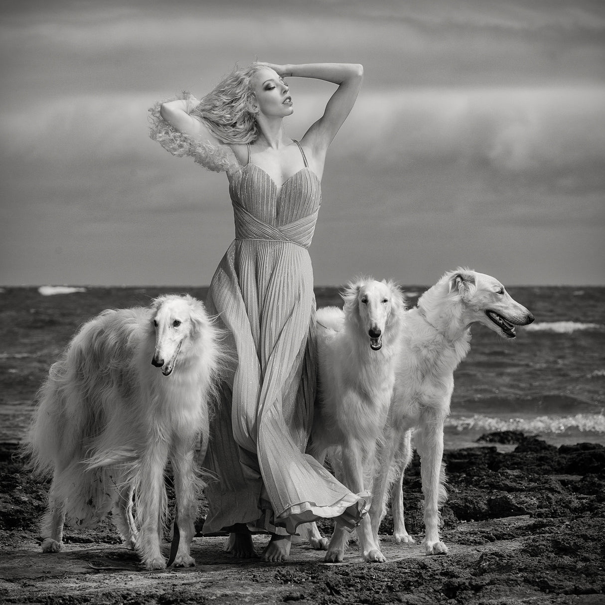 Lady with Hounds Poster och Canvastavla