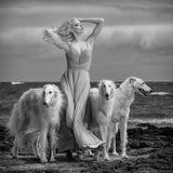 Lady with Hounds Poster och Canvastavla