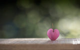 A single heart Poster och Canvastavla