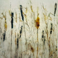 Cattail and reeds Poster och Canvastavla