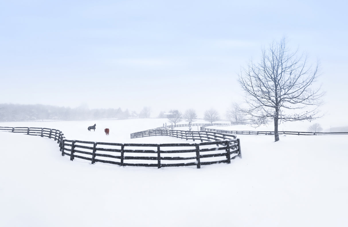 Winter farm Poster och Canvastavla