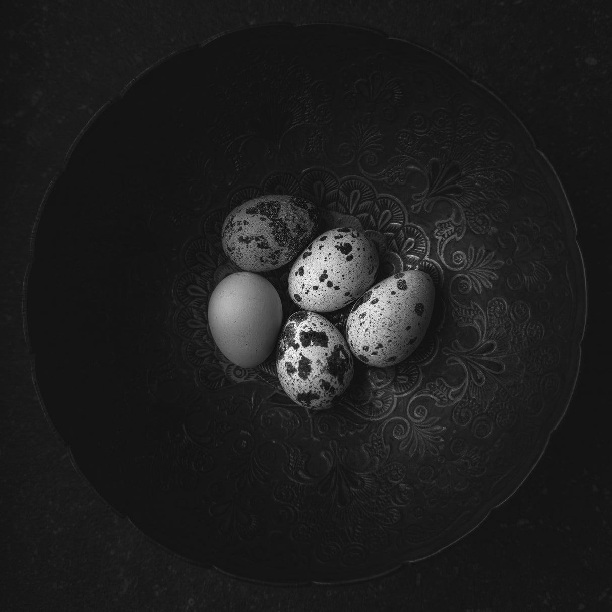 Five eggs Poster och Canvastavla