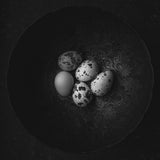 Five eggs Poster och Canvastavla