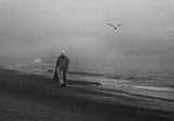 The man and the bird Poster och Canvastavla