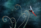 Red Dragonfly Poster och Canvastavla