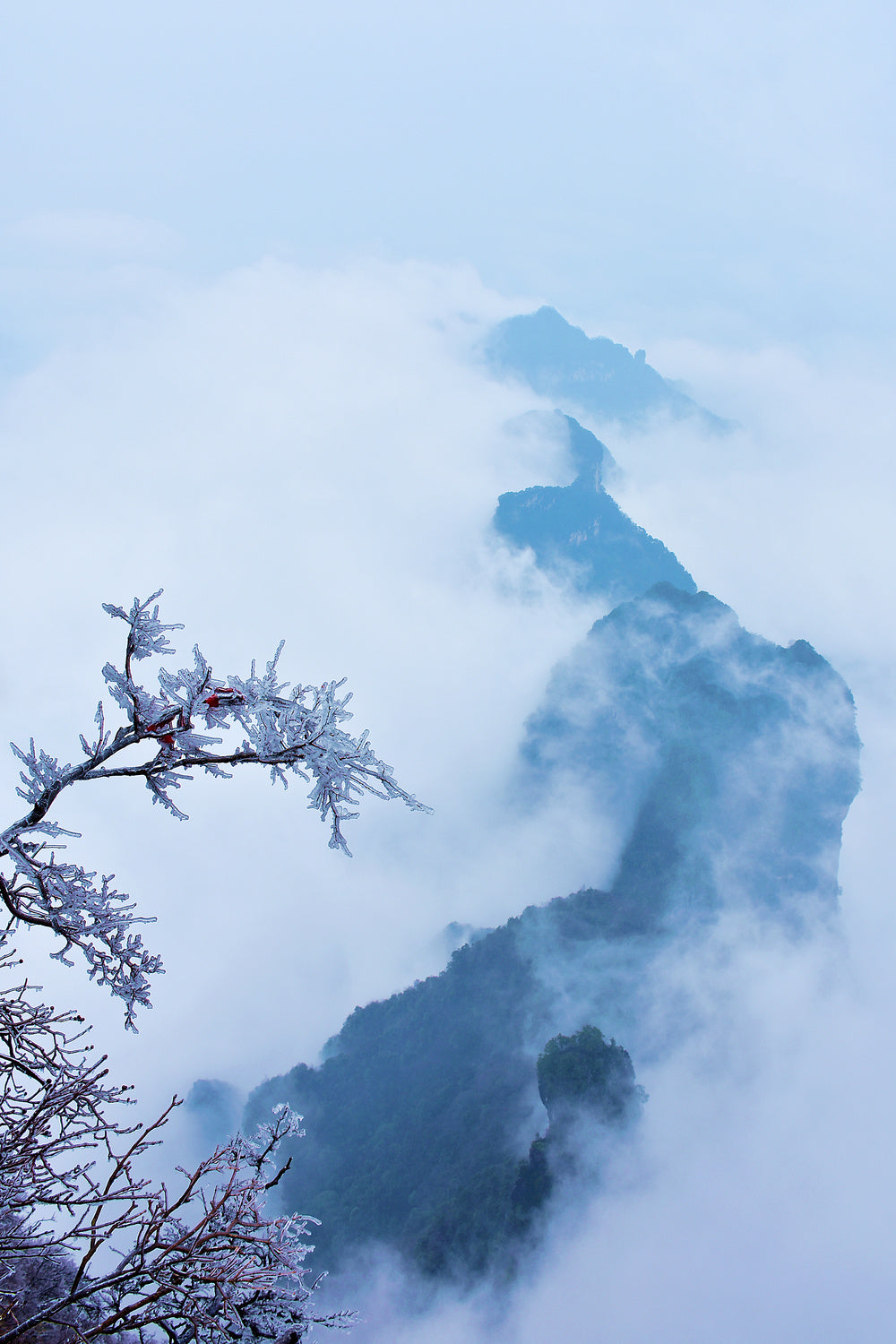 The cloud sea of Zhangjiajie Poster och Canvastavla