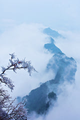 The cloud sea of Zhangjiajie Poster och Canvastavla
