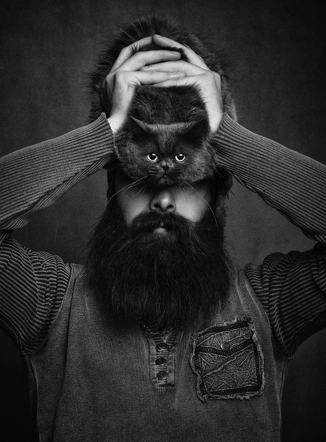 The cat eye man Poster och Canvastavla
