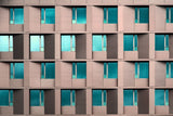 the same, but different Poster och Canvastavla
