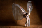 Angel wings Poster och Canvastavla